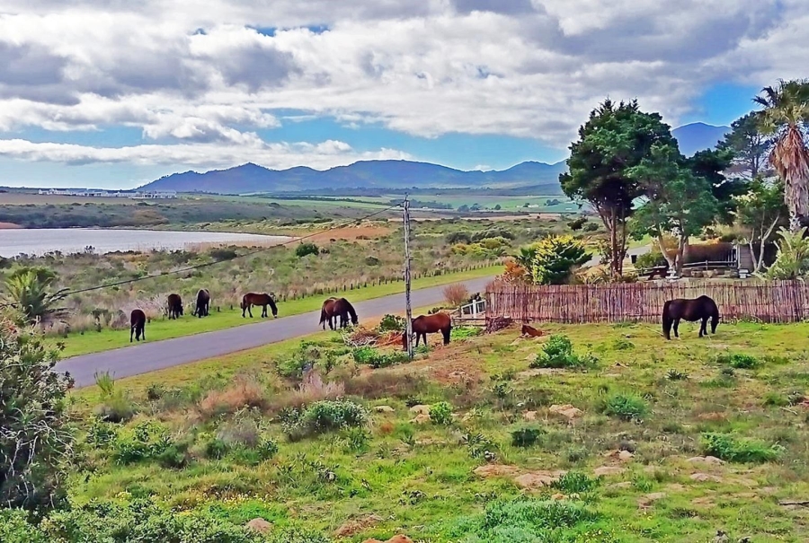 0 Bedroom Property for Sale in Fisherhaven Western Cape